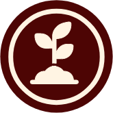 COMPOSTABLE PACKAGING